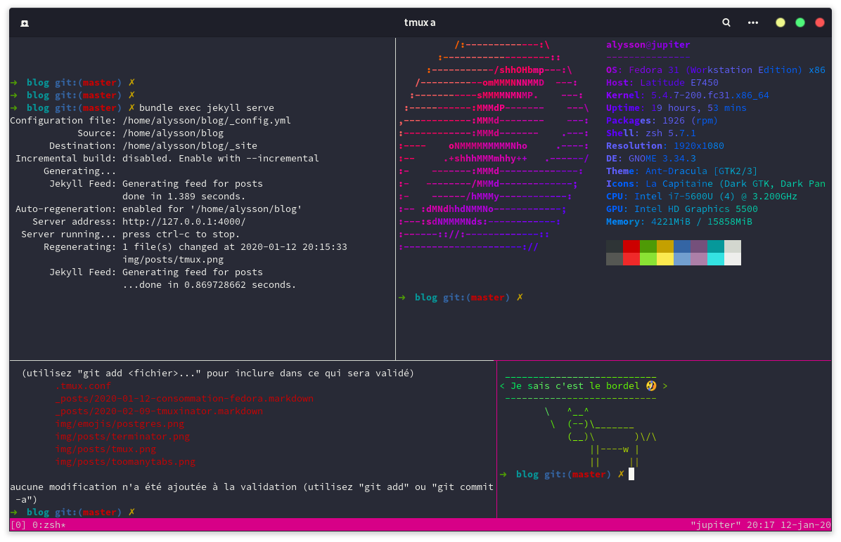 Capture d'écran d'un Tmux de base