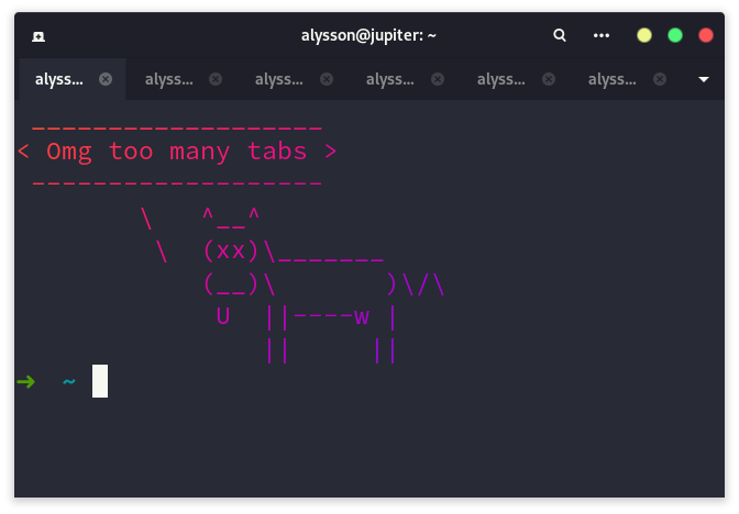 Capture d'écran avec un terminal ayant trop d'onglets